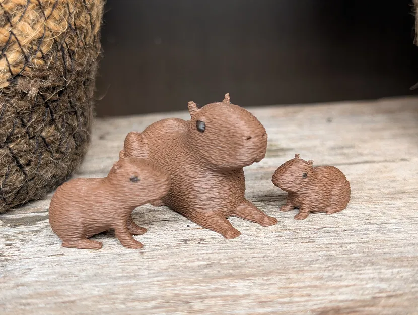 Gia đình nhà Capybara - Image 1