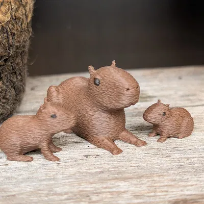 Gia đình nhà Capybara