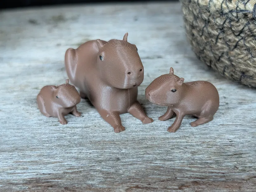 Gia đình nhà Capybara - Image 2