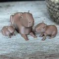 Gia đình nhà Capybara - Thumbnail 2