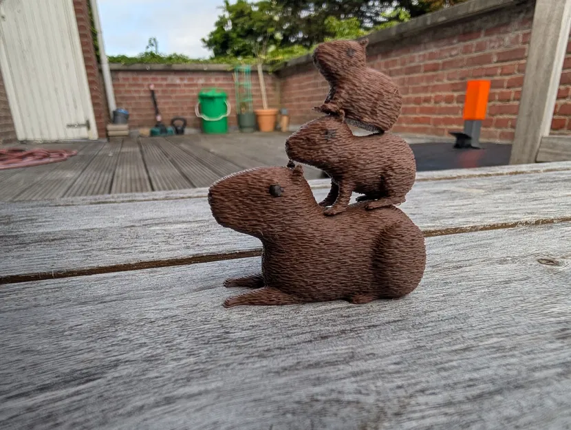 Gia đình nhà Capybara - Image 3