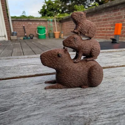 Gia đình nhà Capybara