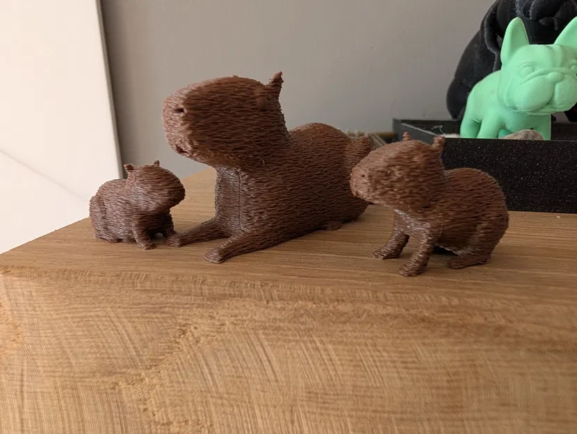 Gia đình nhà Capybara - Image 4