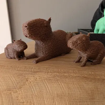 Gia đình nhà Capybara