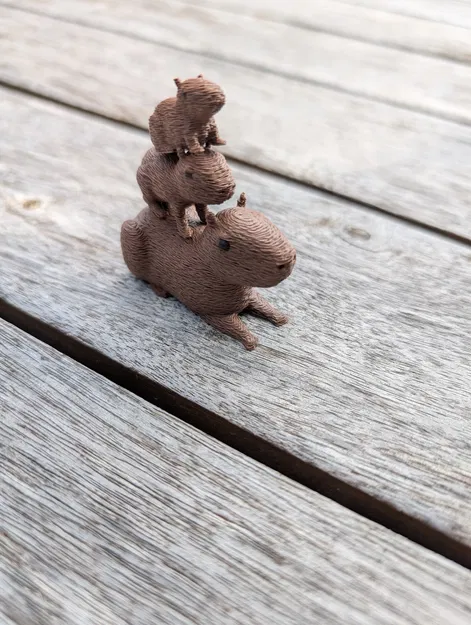 Gia đình nhà Capybara - Image 5