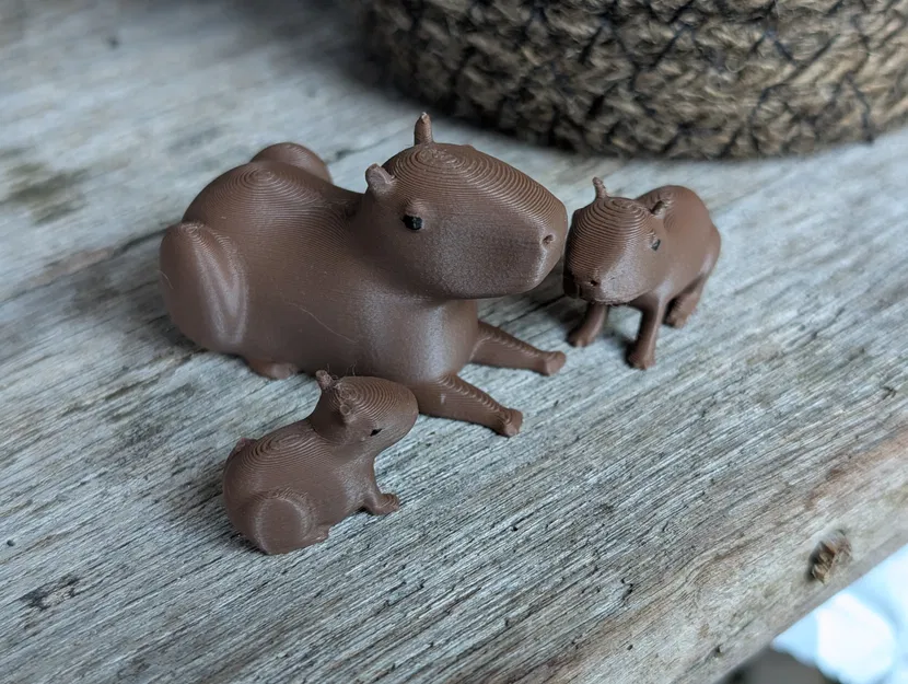 Gia đình nhà Capybara - Image 6