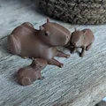 Gia đình nhà Capybara - Thumbnail 6