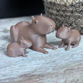 Gia đình nhà Capybara - Thumbnail 7