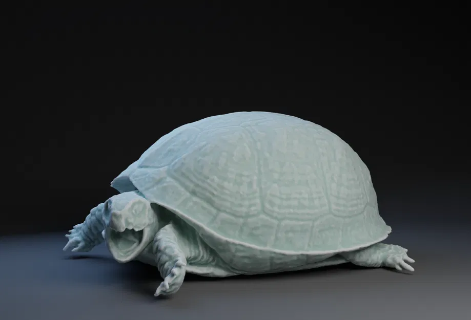 Mô hình rùa Box Turtle in 3D cực chi tiết cho người yêu động vật - Image 1