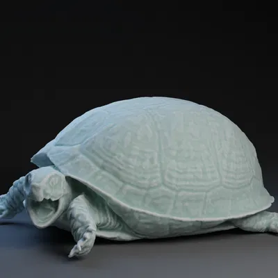 Mô hình rùa Box Turtle in 3D cực chi tiết cho người yêu động vật