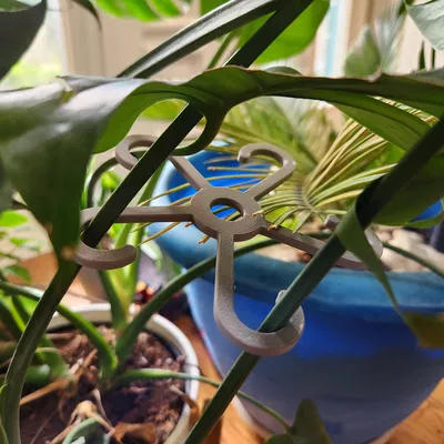 Giá đỡ thân cây (Nhiều kích cỡ!)