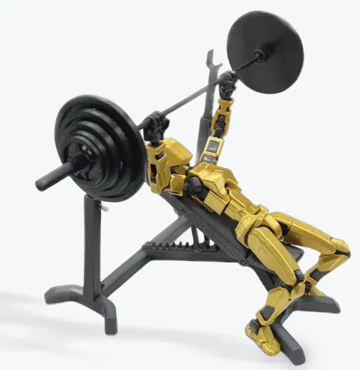 Ghế tập tạ điều chỉnh được cho Dummy 13 - Image 1