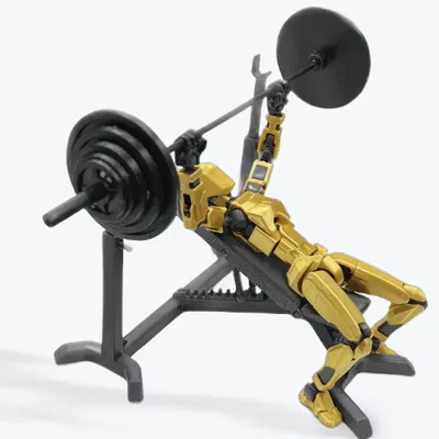 Ghế tập tạ điều chỉnh được cho Dummy 13