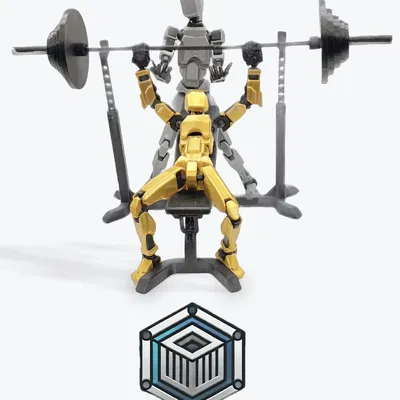 Ghế tập tạ điều chỉnh được cho Dummy 13