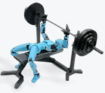 Ghế tập tạ điều chỉnh được cho Dummy 13 - Image 3