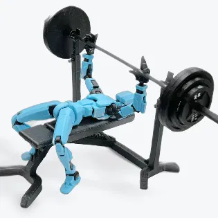 Ghế tập tạ điều chỉnh được cho Dummy 13