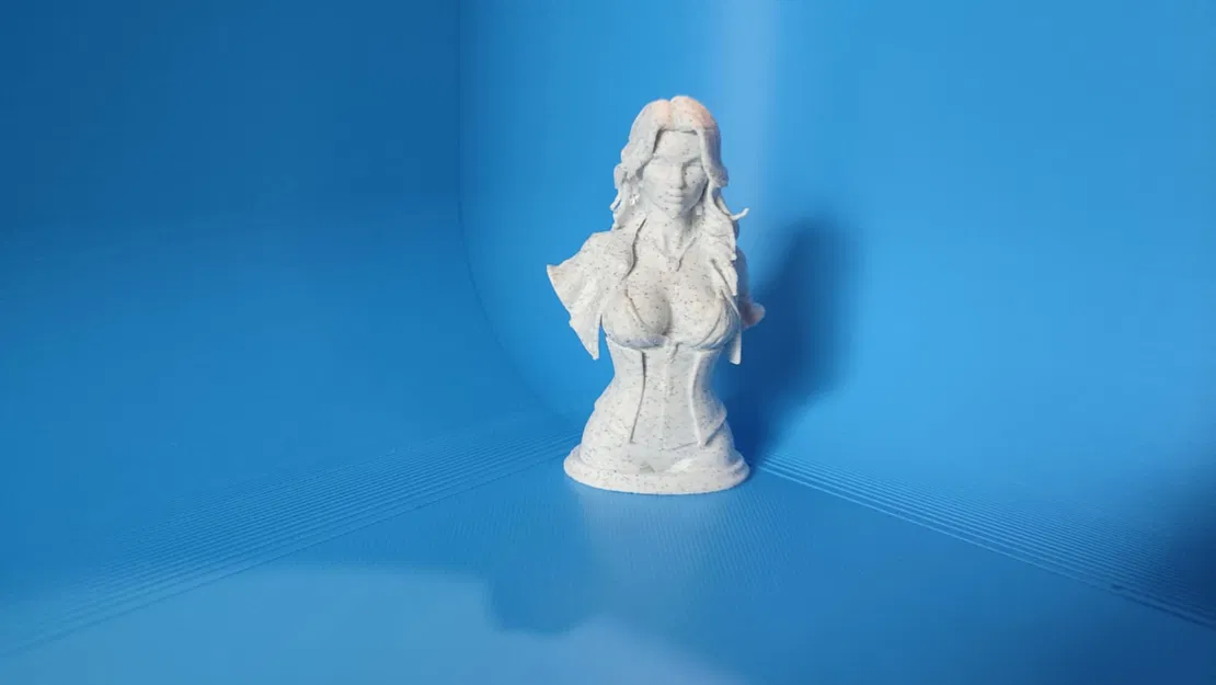 Mô hình tượng nữ hải tặc (Sexy Pirate Sculpture) - File in 3D - Image 3