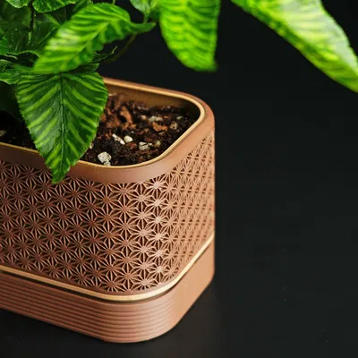 Chậu cây Komori với đế chứa nước tiện dụng