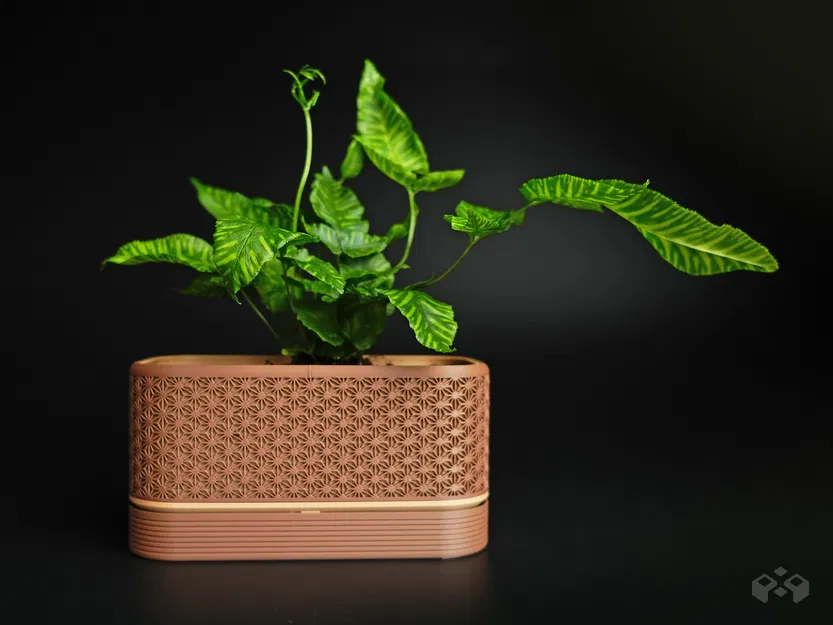 Chậu cây Komori với đế chứa nước tiện dụng - Image 5