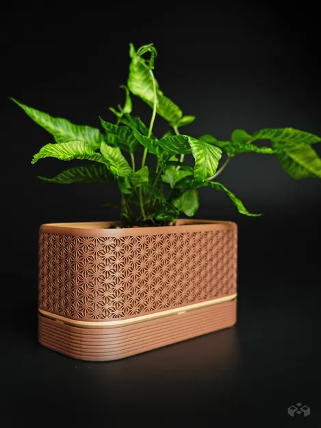 Chậu cây Komori với đế chứa nước tiện dụng - Image 6