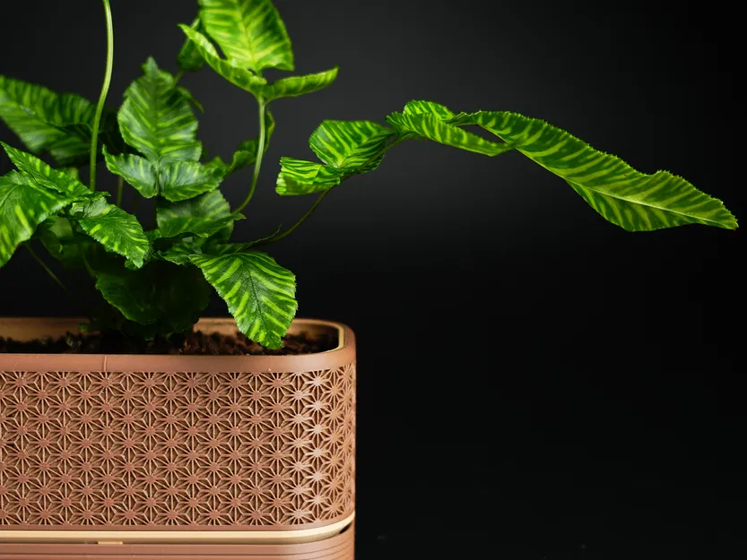 Chậu cây Komori với đế chứa nước tiện dụng - Image 8