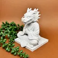 Mô hình rồng thiền định (Meditating Dragon) in 3D trang trí đẹp mắt - Thumbnail 2