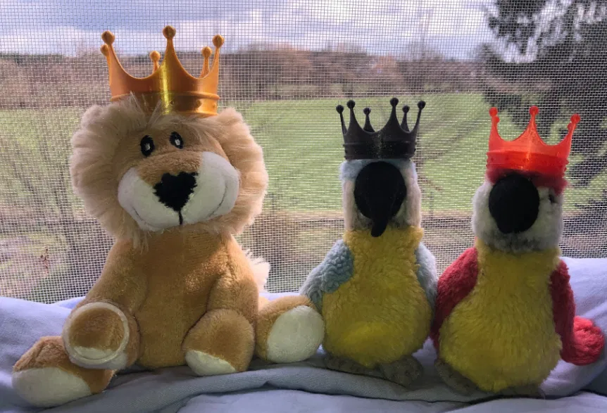 Mô hình vương miện 3D siêu cute cho thú cưng và trẻ em - Image 5