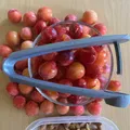 Dụng cụ lấy hạt anh đào và mận mirabelle - Thumbnail 2