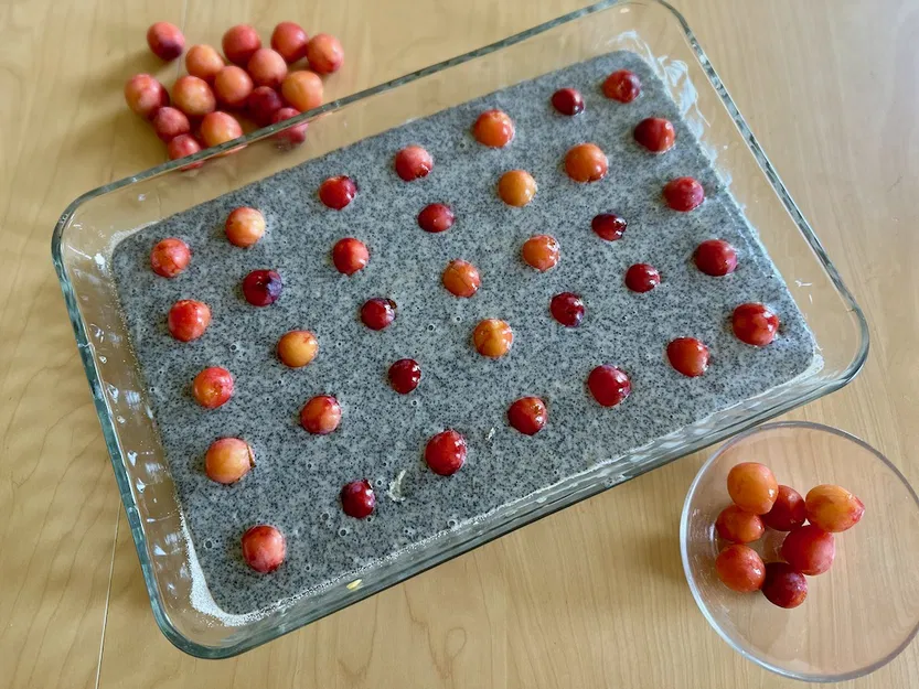 Dụng cụ lấy hạt anh đào và mận mirabelle - Image 3