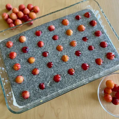 Dụng cụ lấy hạt anh đào và mận mirabelle