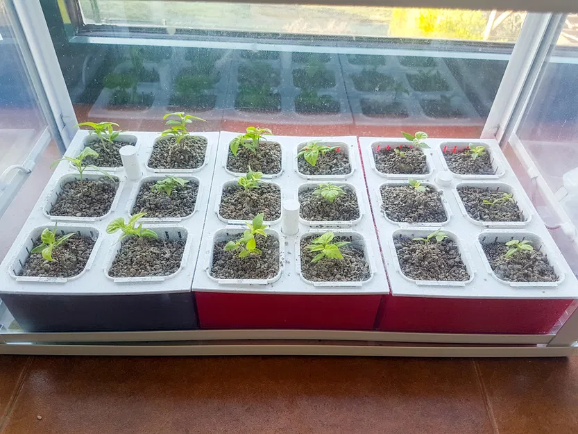 Vườn thủy canh Hydroponic garden - Image 2