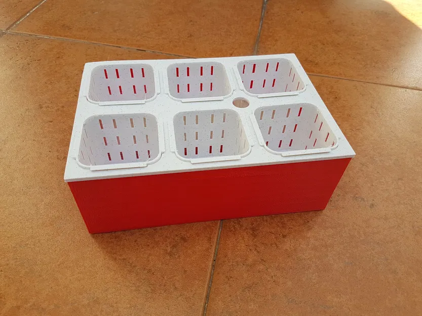 Vườn thủy canh Hydroponic garden - Image 3