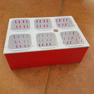 Vườn thủy canh Hydroponic garden