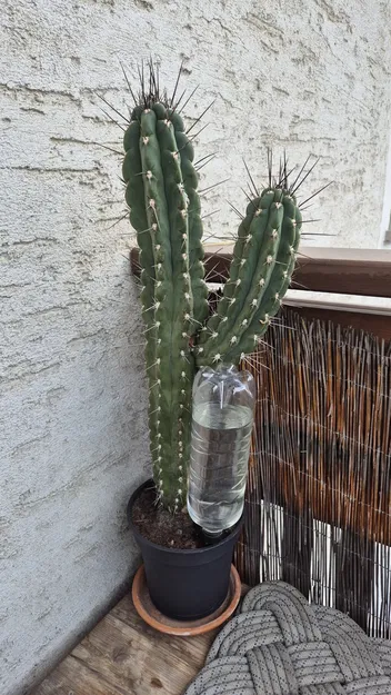 Thiết bị tưới cây tự động từ chai nhựa - Image 1