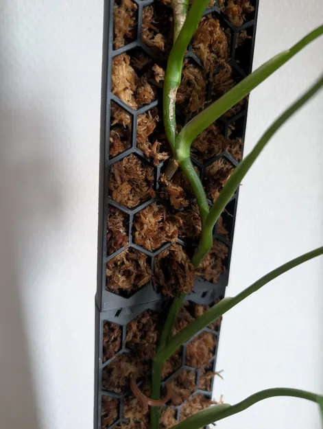 Cọc hỗ trợ cây leo 3D lắp ghép (Stackable Plant Stake) thông minh - Image 7