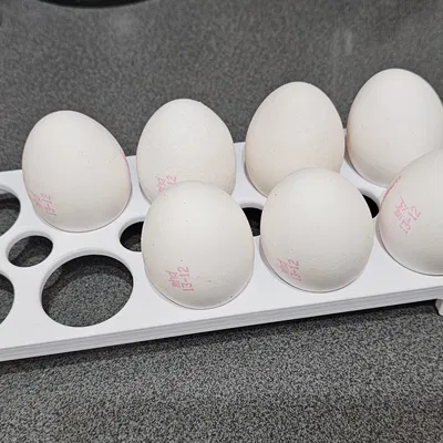 Khay đựng trứng 10 ngăn in 3D tiện lợi cho nhà bếp