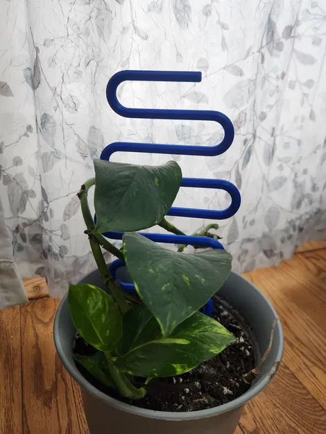 Cọc cắm cây hình rắn uốn lượn (Snaking plant stake) - Image 1