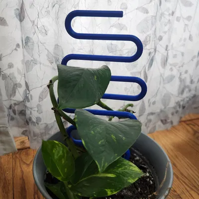 Cọc cắm cây hình rắn uốn lượn (Snaking plant stake)