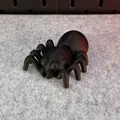 Nhện Cưng Cử Động Được (Articulated Cute Spider) - Thumbnail 16