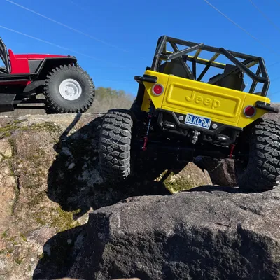 Mô hình xe RC Rock Crawler THUMPER tỉ lệ 1:8 của BlackCrow (Không cần support!)