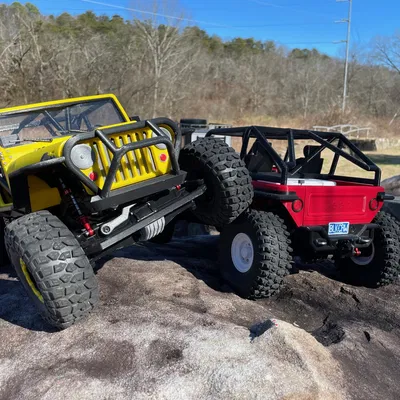 Mô hình xe RC Rock Crawler THUMPER tỉ lệ 1:8 của BlackCrow (Không cần support!)