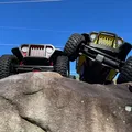 Mô hình xe RC Rock Crawler THUMPER tỉ lệ 1:8 của BlackCrow (Không cần support!) - Thumbnail 9