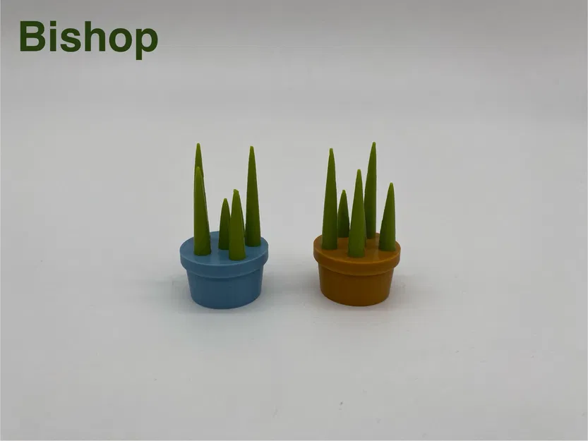 Bộ Cờ Vua Hình Xương Rồng Độc Đáo - Image 4