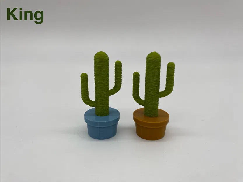 Bộ Cờ Vua Hình Xương Rồng Độc Đáo - Image 8