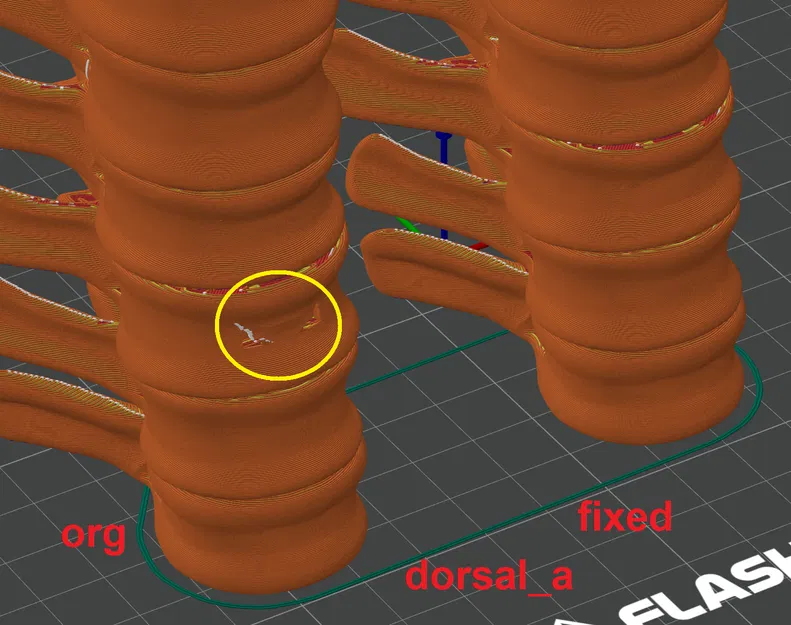 Mô hình T-rex 200% - Đã sửa lỗi, tối ưu support và nâng cấp hộp sọ - Image 3