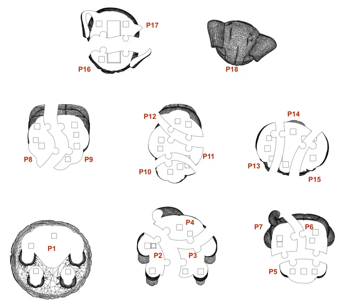 Mô hình 3D chú chó Pug lắp ghép 18 mảnh cực đáng yêu - Image 3