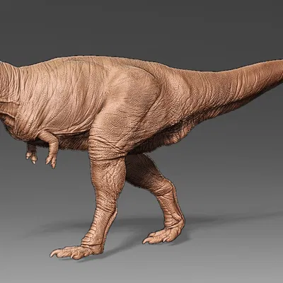 Mô hình Gorgosaurus