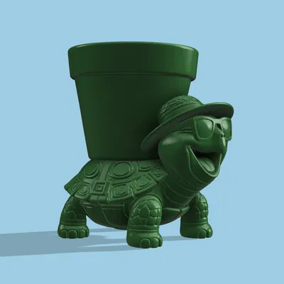 Chậu Cây Hình Rùa Phiên Bản Epic Summer Bloom