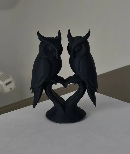 Owlways in Love - Cặp đôi cú tình yêu - Image 1