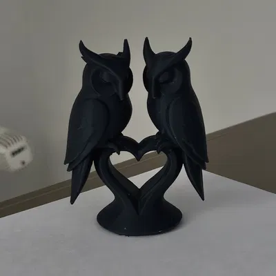 Owlways in Love - Cặp đôi cú tình yêu